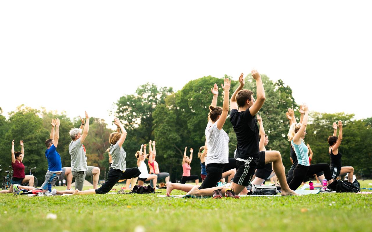 Eine Gruppe von Sportlerinnen und Sportlern mach Yogaübungen auf einer Wiese im Park.