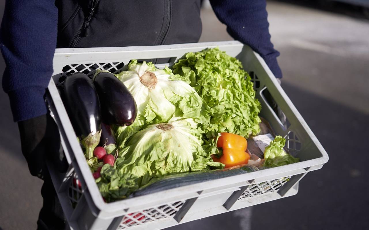 Spendenaktion für Düsseldorfer Tafel: Eine Person hält einen Korb mit Lebensmitteln in der Hand. Darunter ist auch viel Gemüse.