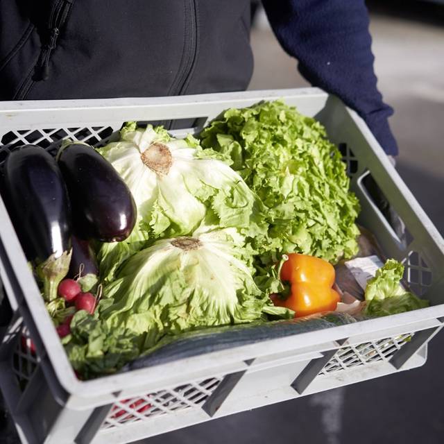 Spendenaktion für Düsseldorfer Tafel: Eine Person hält einen Korb mit Lebensmitteln in der Hand. Darunter ist auch viel Gemüse.