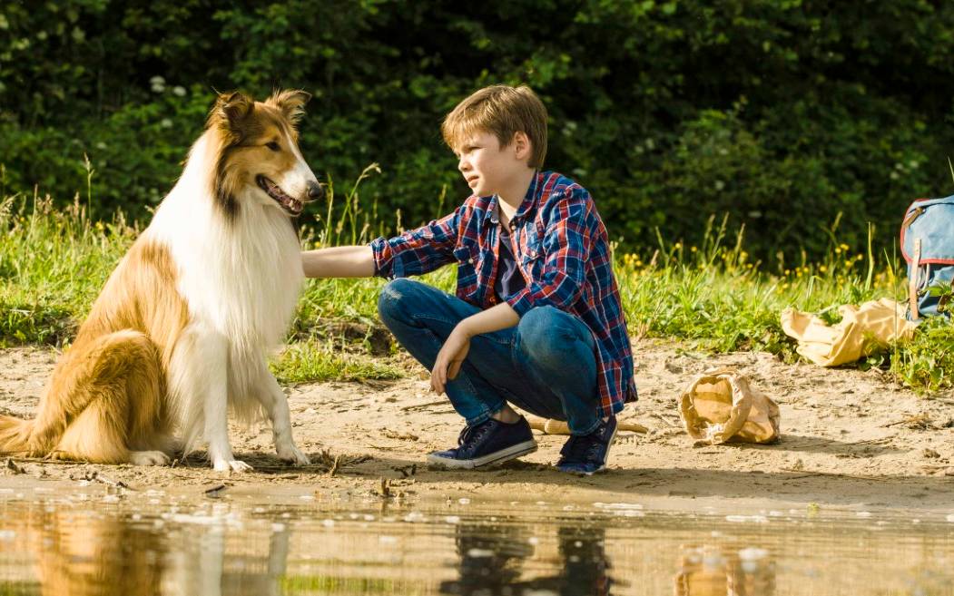 Noch sind die Beiden vereint.