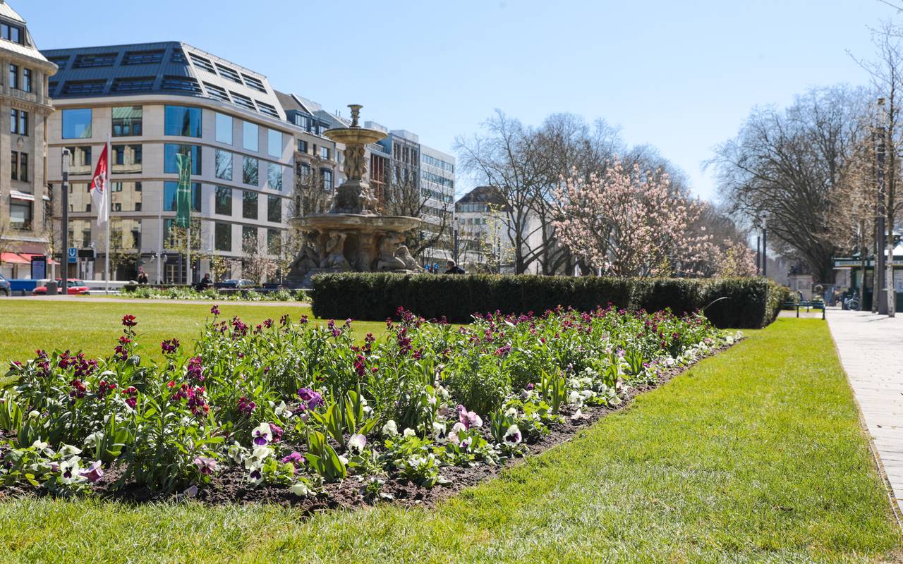 Bunte Blumen und Beete auf dem Corneliusplatz am Nordende der Königsallee.