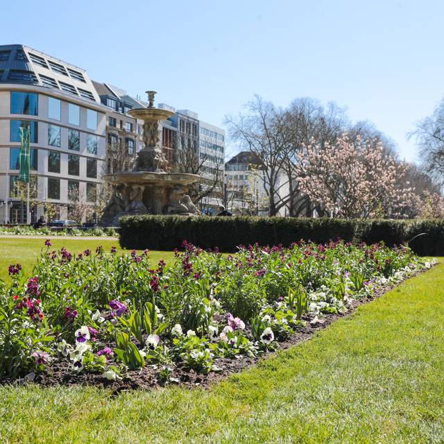 Bunte Blumen und Beete auf dem Corneliusplatz am Nordende der Königsallee.