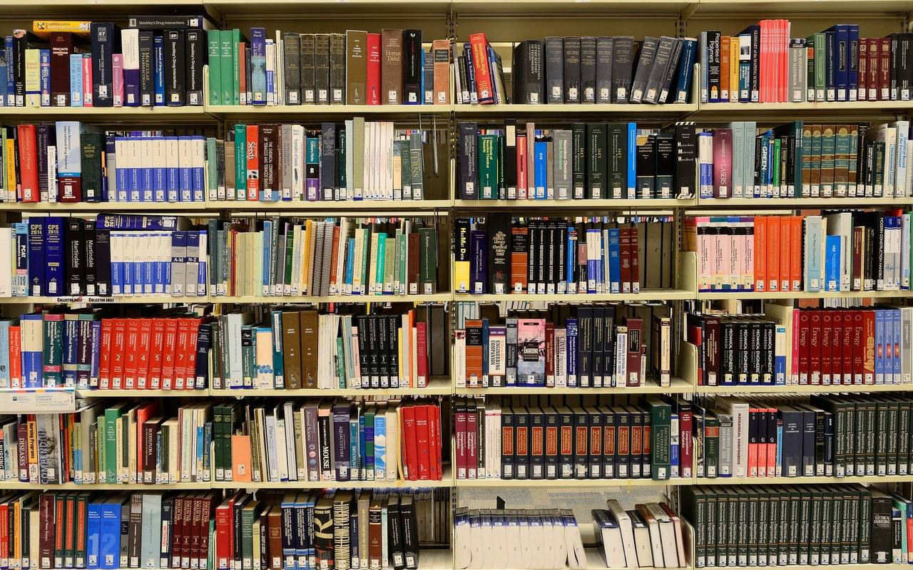 Ein volles Bücherregal in einer Bücherei.