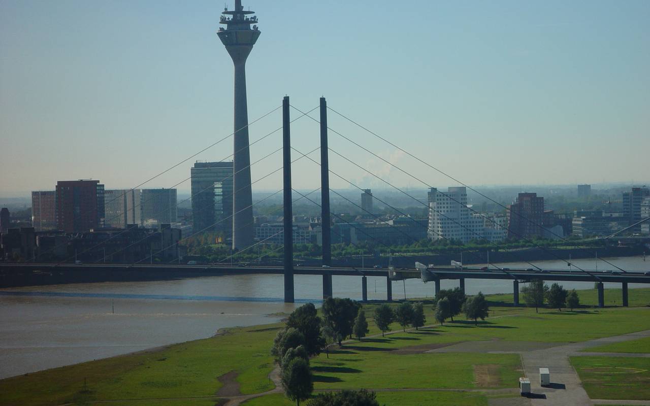 Ein Blick auf das Panorama von Düsseldorf, zu sehen ist die Rheinkniebrücke und der Fernsehturm
