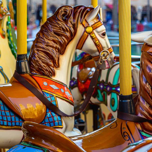 Detail-Aufnahme eines Kirmes-Karussells mit Holzpferden.