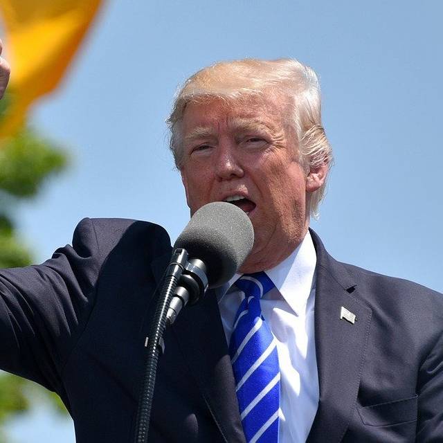 Donald Trump spricht in ein Mikro und hält die rechte Faust nach oben.