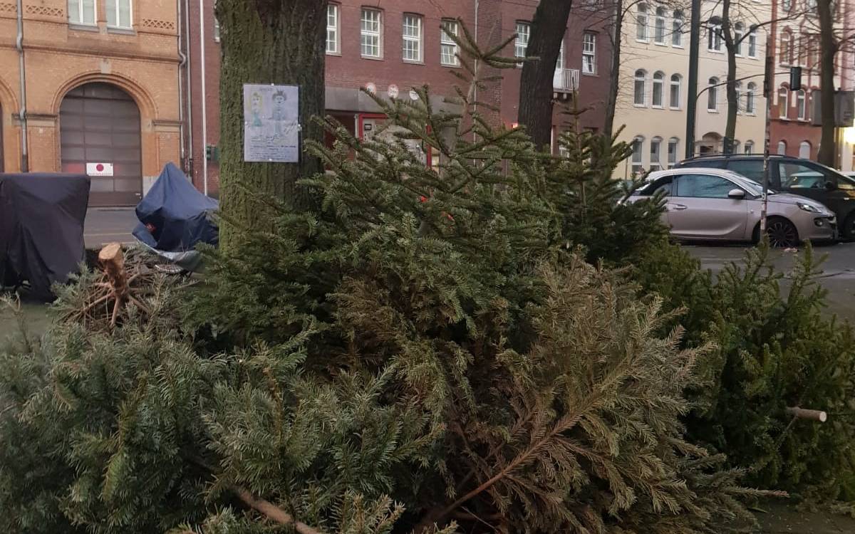 Am Straßenrand entsorgte Tannen- und Weihnachtsbäume.
