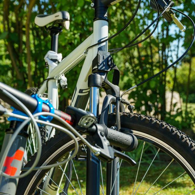 Ein abgestelltes Fahrrad in der Natur.