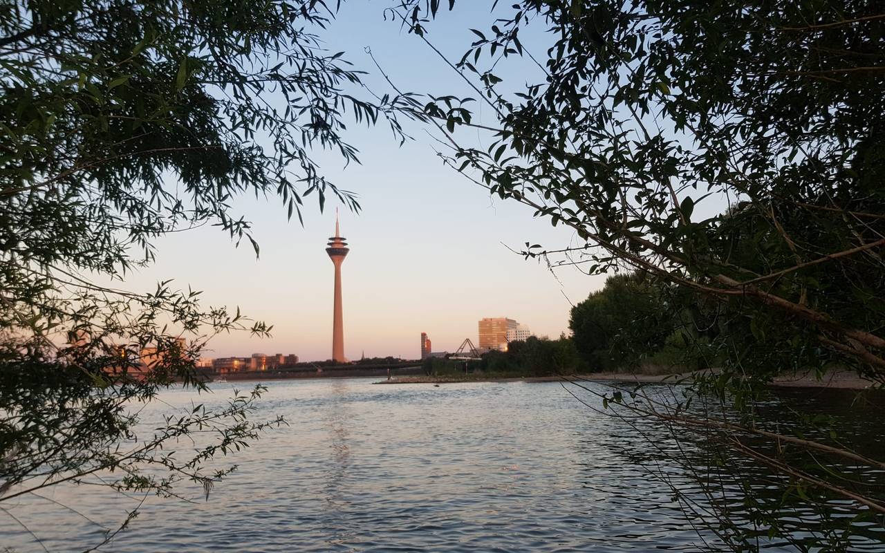 Der Rheiturm, fotografiert vom Paradiesstrand in Düsseldorf.