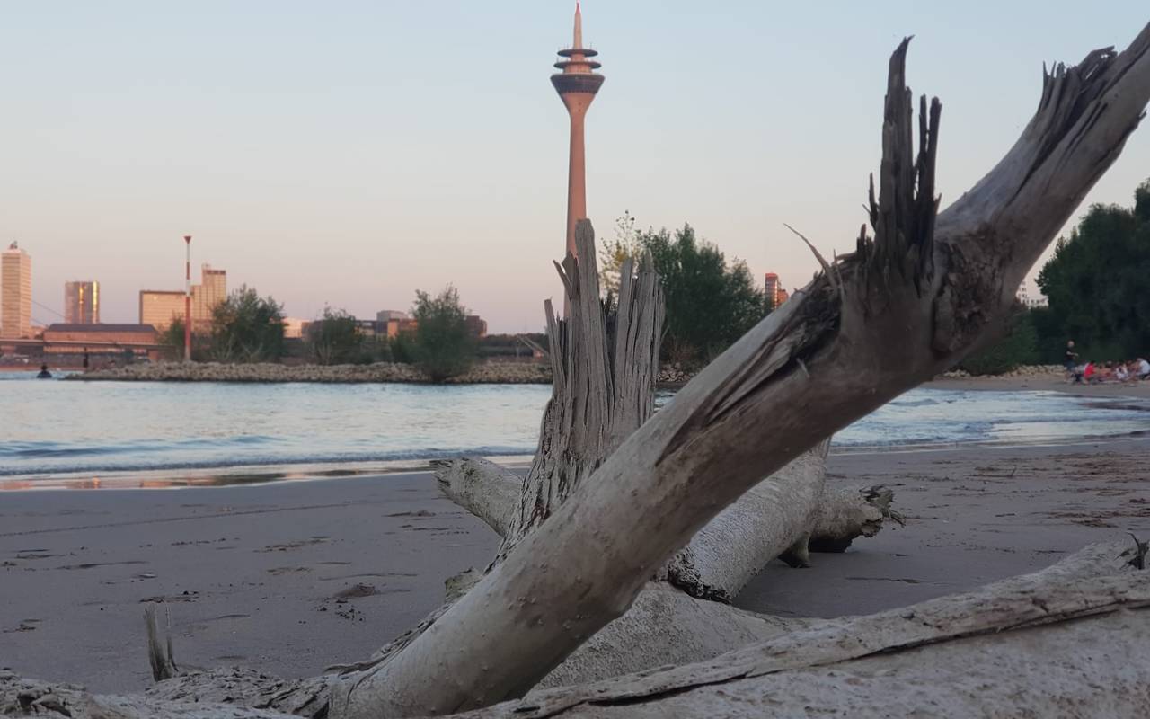 Der Paradiesstrand am Rhein. Im Hintergrund reckt sich der Rheinturm in die Höhe.