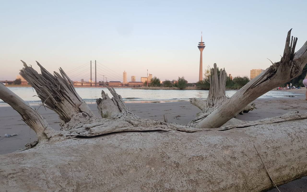 Der Paradiesstrand am Rhein in Düsseldorf.
