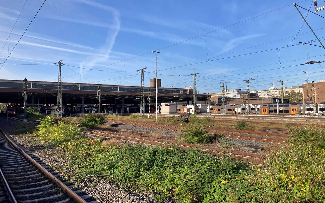 Der Düsseldorfer Hauptbahnhof mit etwas grüner Bepflanzung im Vordergrund.