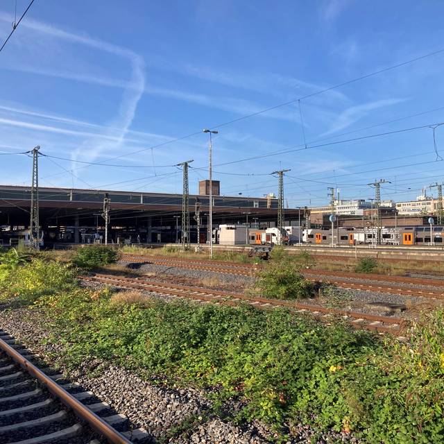 Der Düsseldorfer Hauptbahnhof mit etwas grüner Bepflanzung im Vordergrund.