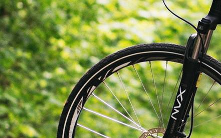 Ein Fahrradreifen von einem Mountainbike vor einem grünen Strauch