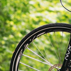 Ein Fahrradreifen von einem Mountainbike vor einem grünen Strauch
