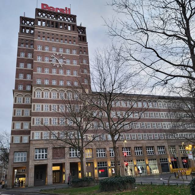Wilhelm-Marx-Haus von vorne vor grauem Himmel.