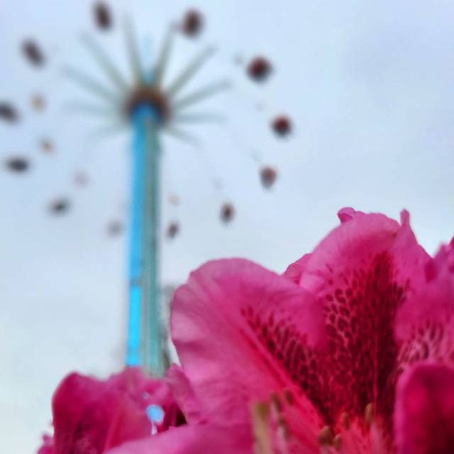 Ein 40 Meter hoher Kettenflieger auf der Osterkirmes auf dem Staufenplatz.