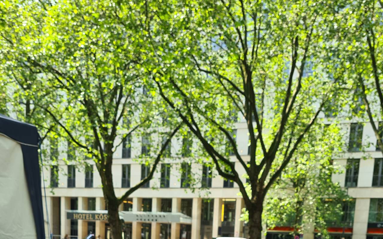 Bücher auf einem Stand des Bücherbummels auf der Königsallee.