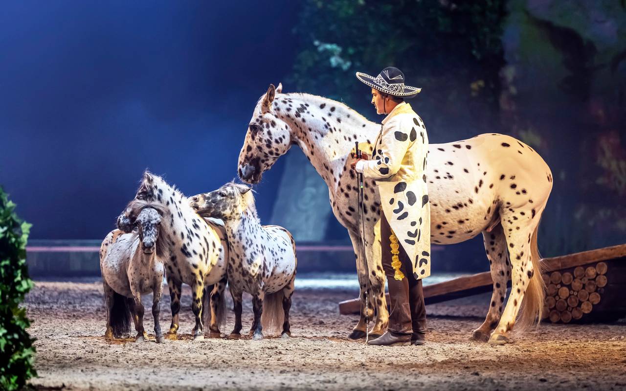 Pferde in einer Mange bei der Show CAVALLUNA.