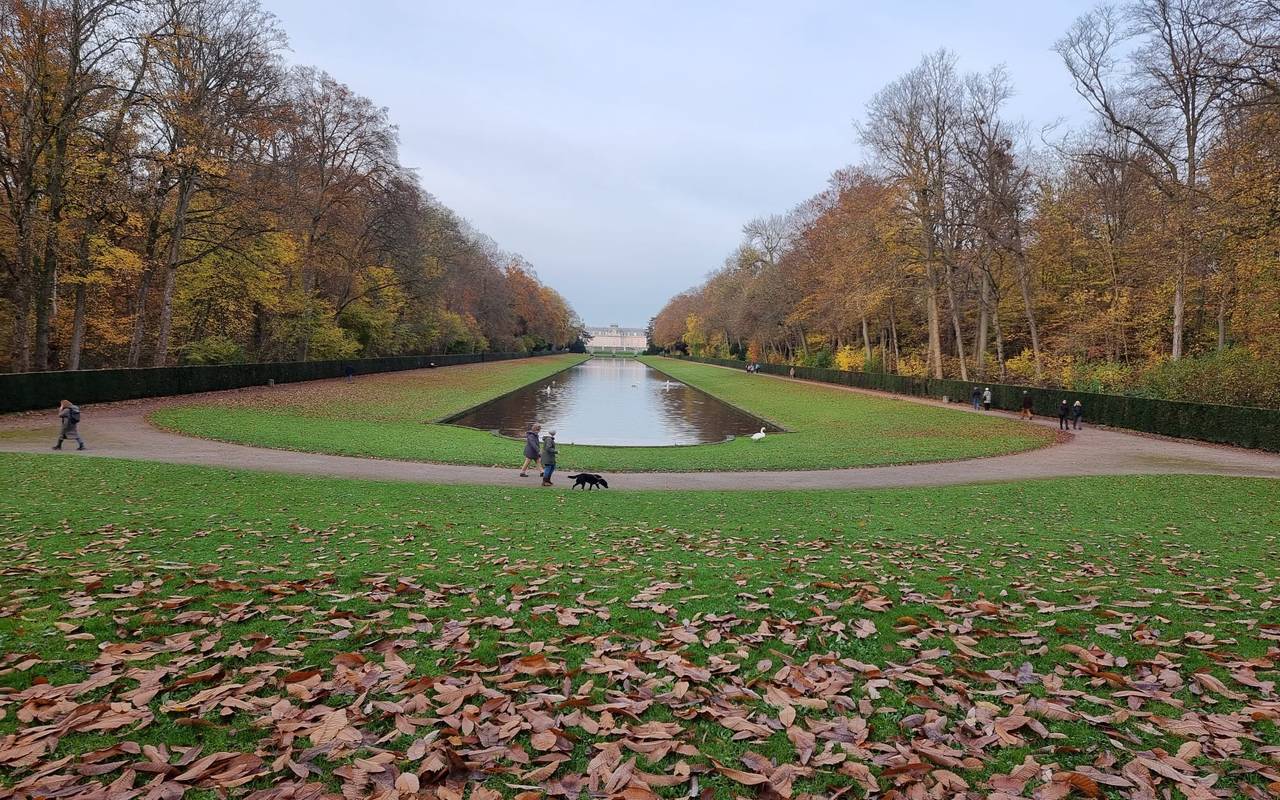 Der Benrather Schlosspark. Weit im Hintergrund ist das Benrather Schloss zu erkennen.