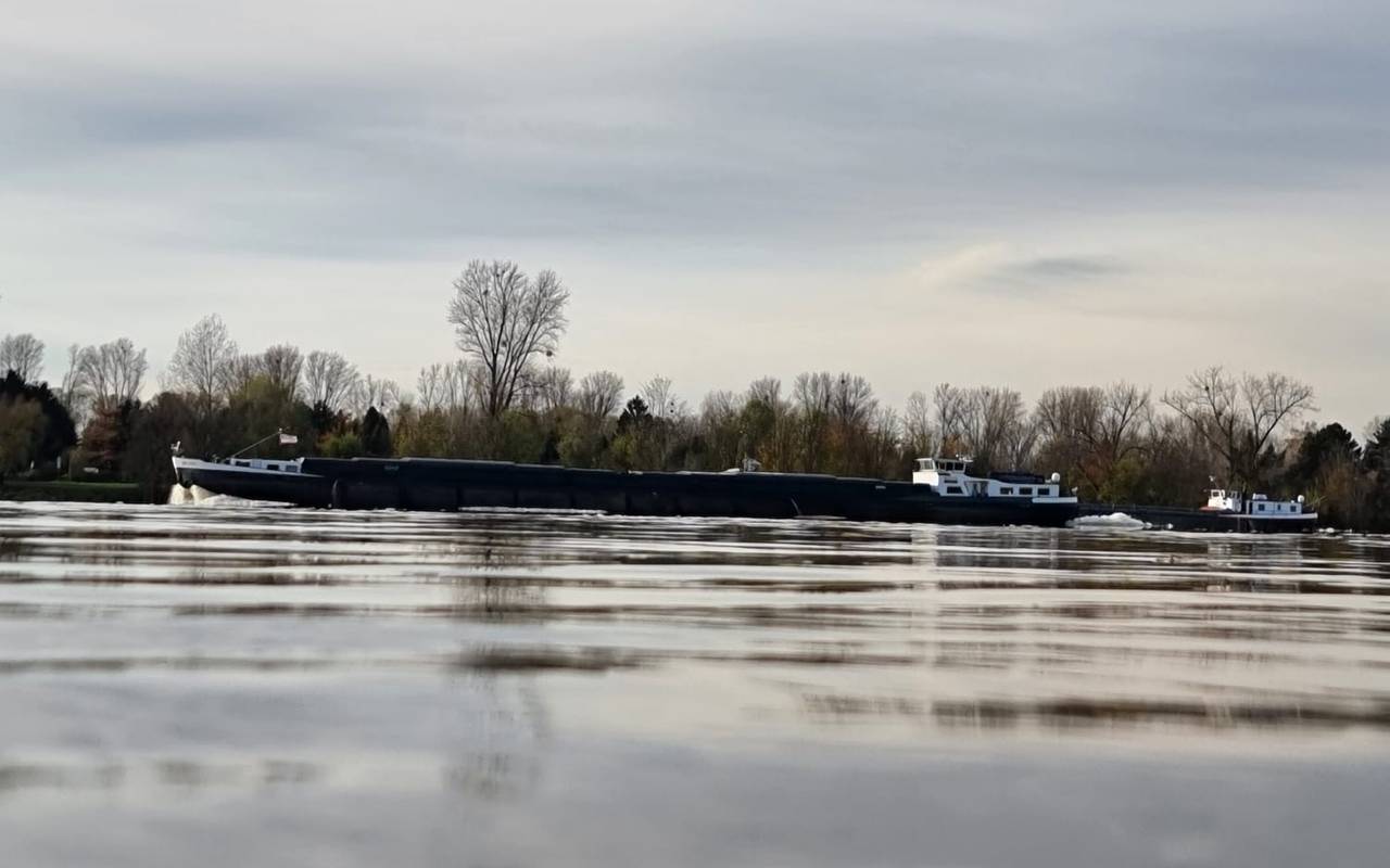 Der Blick auf die Oberfläche des Rheins bei Hochwasser. Im Hintergrund fährt ein langes Schiff.