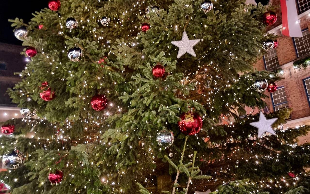 Geschmückter Weihnachtsbaum auf dem Marktplatz vor dem Rathaus in der Altstadt auf dem Weihnachtsmarkt Düsseldorf.