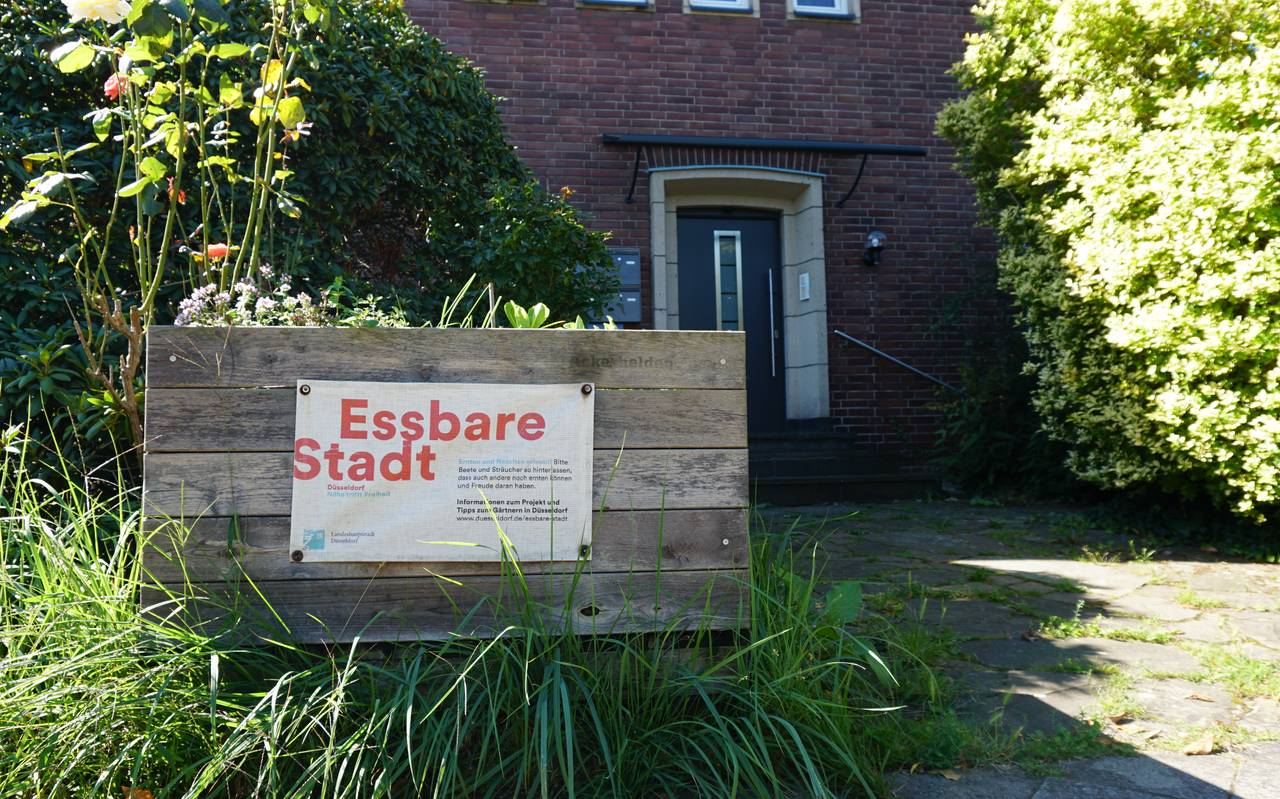 Blick auf ein Hochbeet der Stadt vor einem Wohnhhaus. Auf dem Hochbeet ist ein Papier mit dem Aufdruck "Essbare Stadt"
