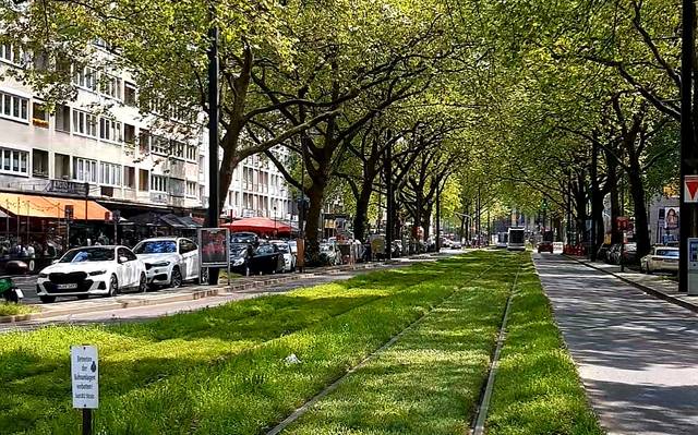 Begrünte Gleise auf der Immermannstraße.