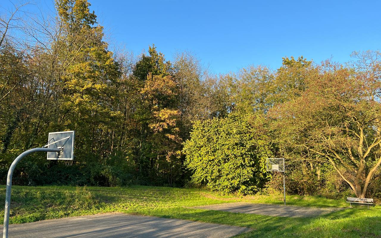 frei zugängliche Möglichkeit zum Basketball spielen in Hellerhof