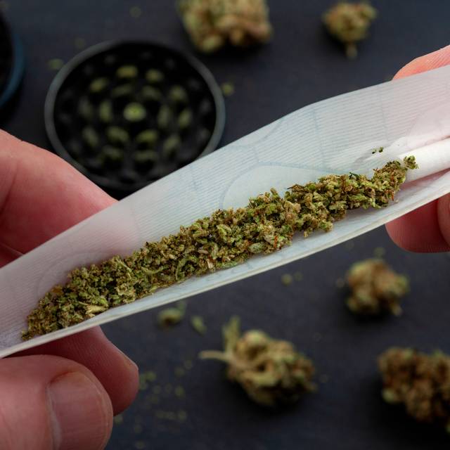Ein Joint mit Cannabis wird gedreht.