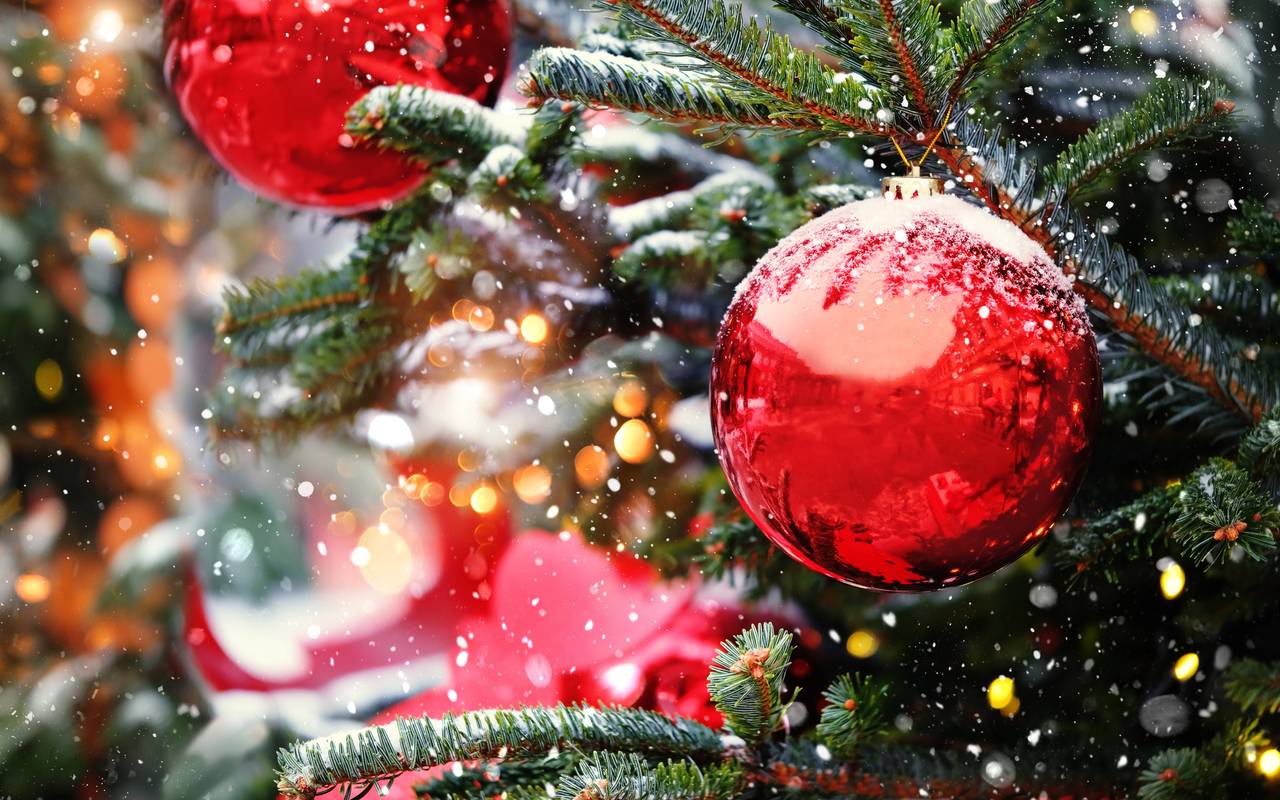 Rote Weihnachtskugeln an einem grünen Tannenbaum.