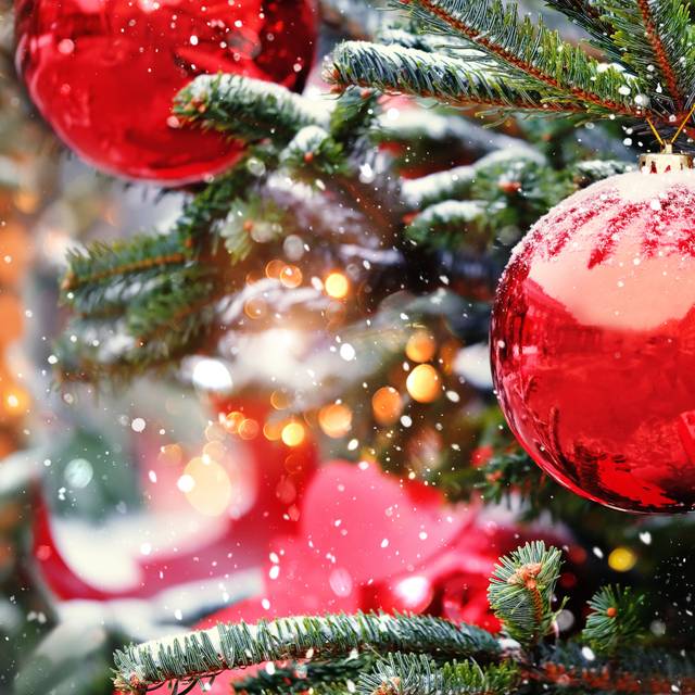 Rote Weihnachtskugeln an einem grünen Tannenbaum.