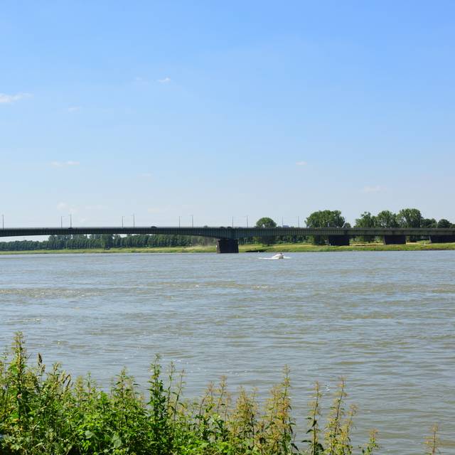 Die Kardinal-Frings-Brücke, die auch Düsseldorf Südbrücke genannt wird.