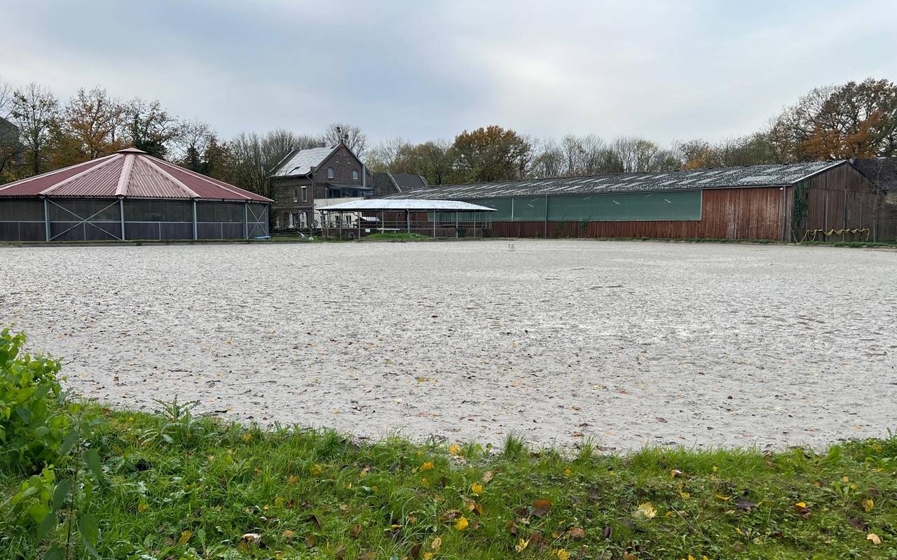Blick auf das Außengelände der Reitanlage Gut Hellerhof