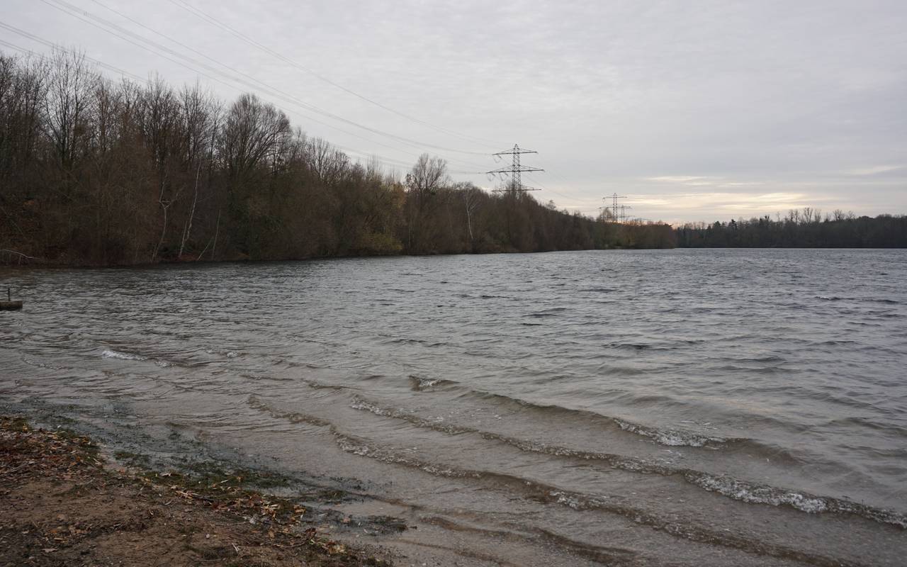Blick auf den Angermunder See vom Ufer
