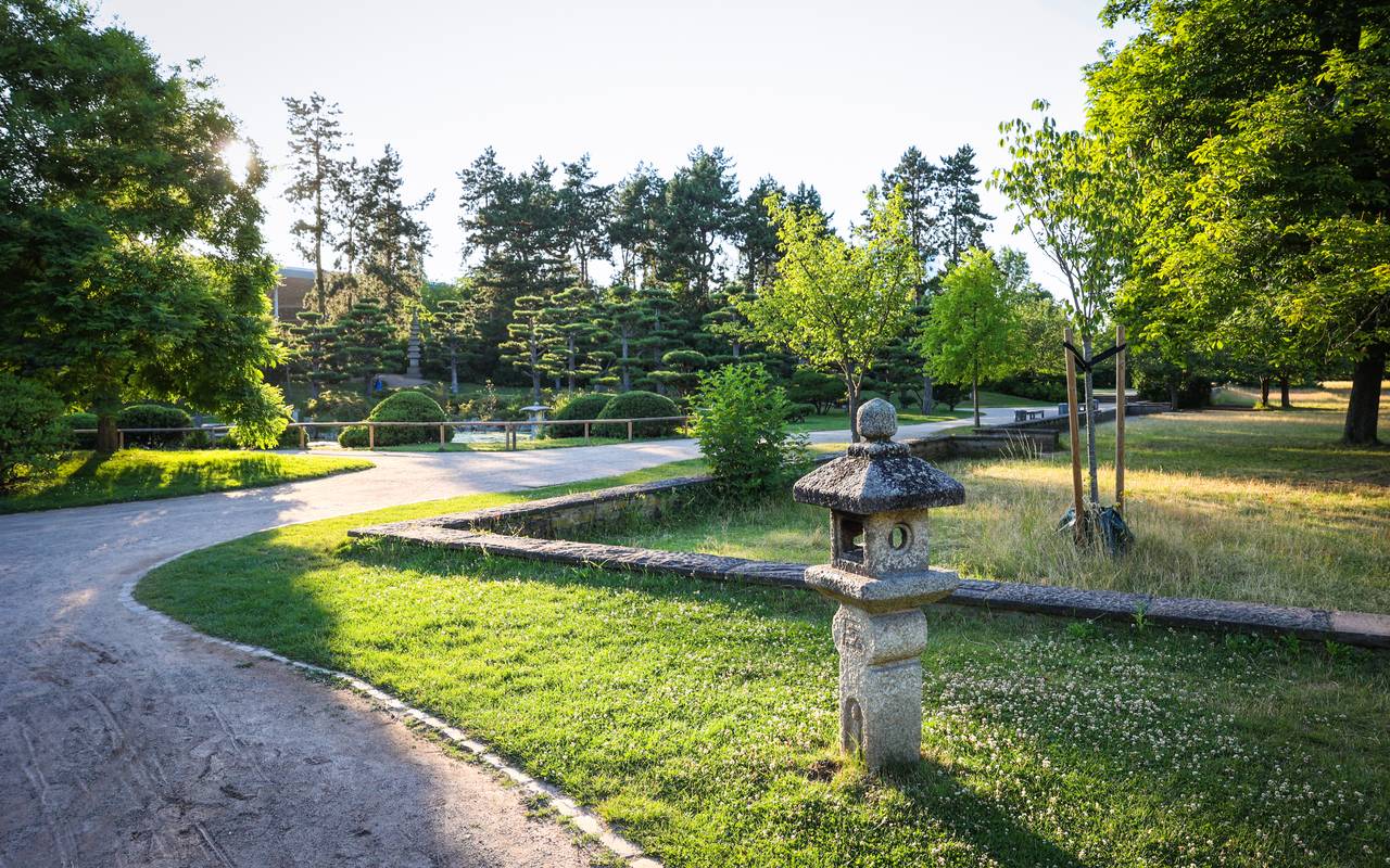 Der Japanische Garten im Nordpark im Sonnenlicht.