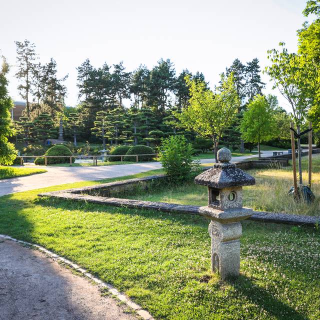 Der Japanische Garten im Nordpark im Sonnenlicht.