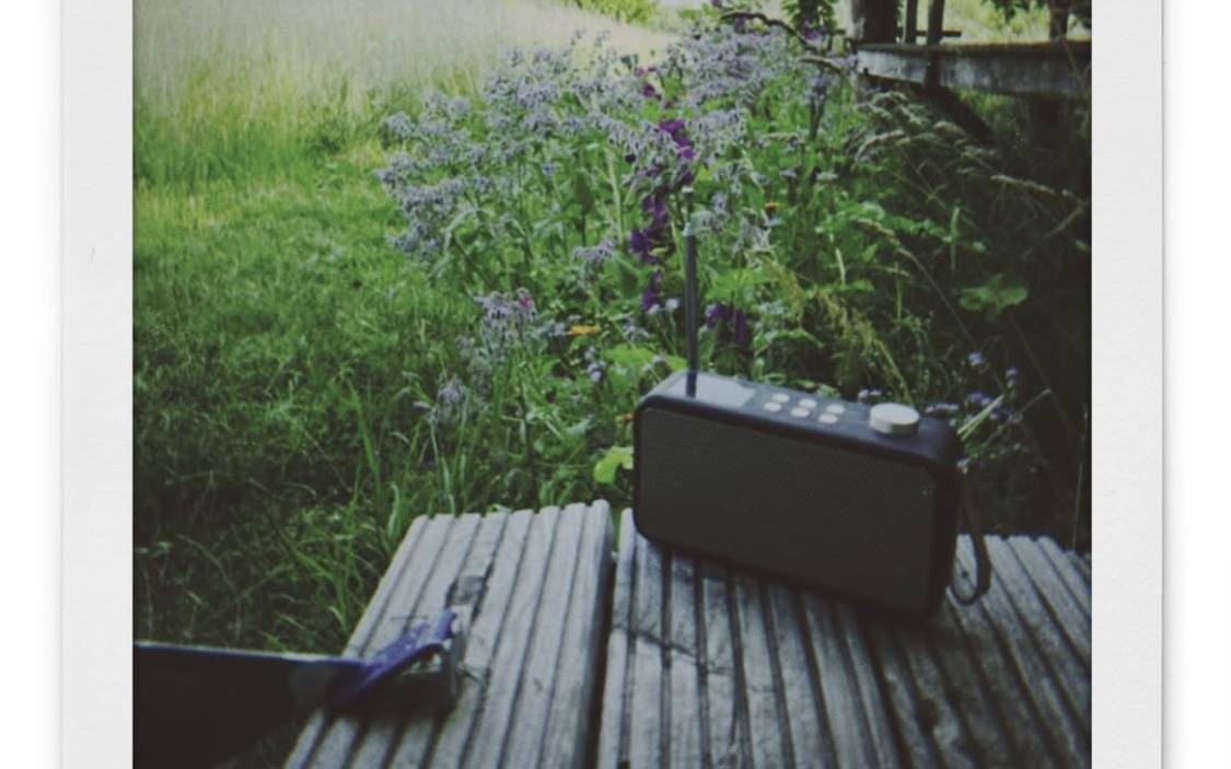 Ein Radio vor einer Blumenwiese