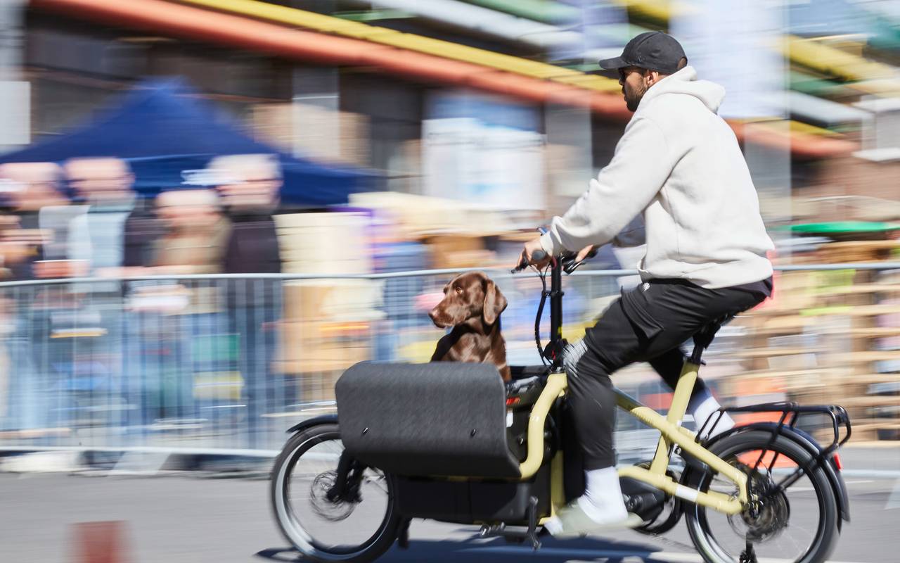 Eindrücke von der Messe Cyclingworld. Ein Hund wird in einem Lastenrad transportiert.