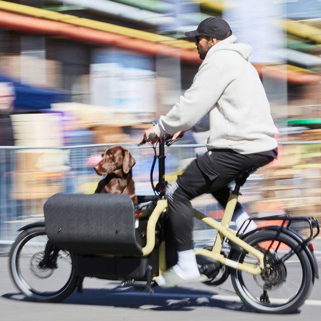 Eindrücke von der Messe Cyclingworld. Ein Hund wird in einem Lastenrad transportiert.