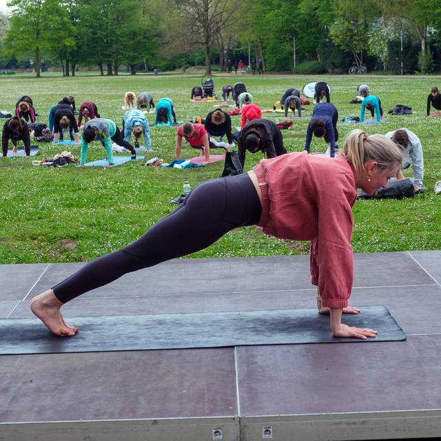 Sportlerinnen und Sportler bei einem Yoga Kurs von Sport im Park.