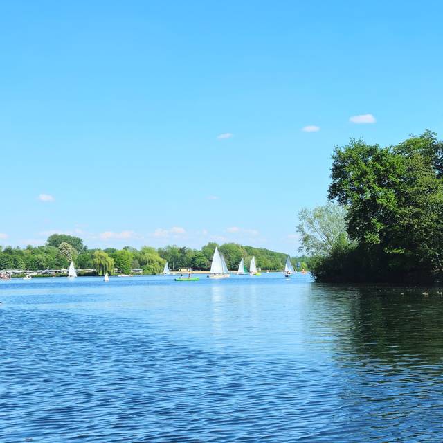 Unterbacher See mit Bäumen, Wasser und Seegelboten.