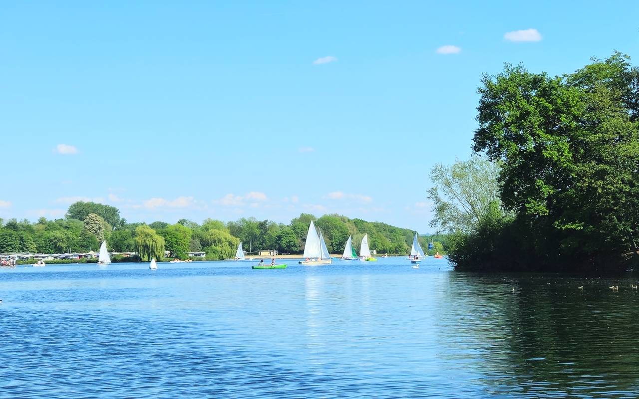 Unterbacher See mit Bäumen, Wasser und Seegelboten.