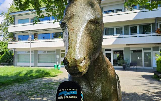 Esel Statue am Breidenplatz wird interviewt und ist umrahmt von Bäumen und Sträuchern