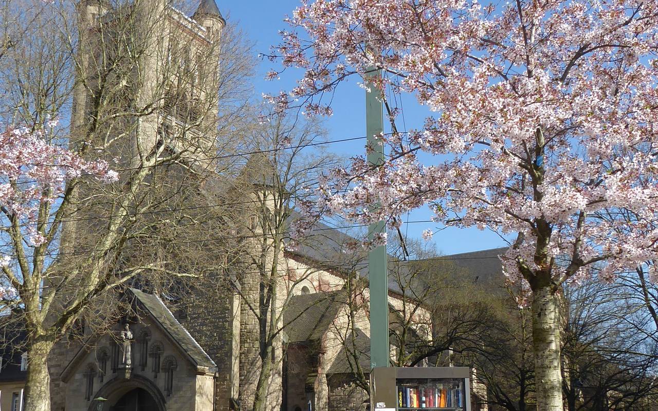 Im Vordergrund ein offenes Bücherregal, im Hintergrund die Kirche St. Antonius Friedrichstadt