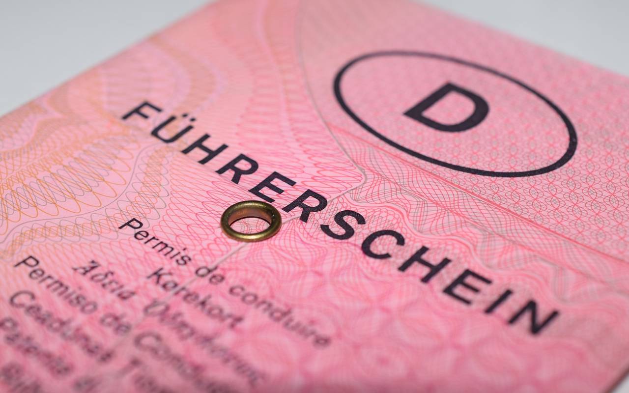 Ein pinker Papier-Führerschein.