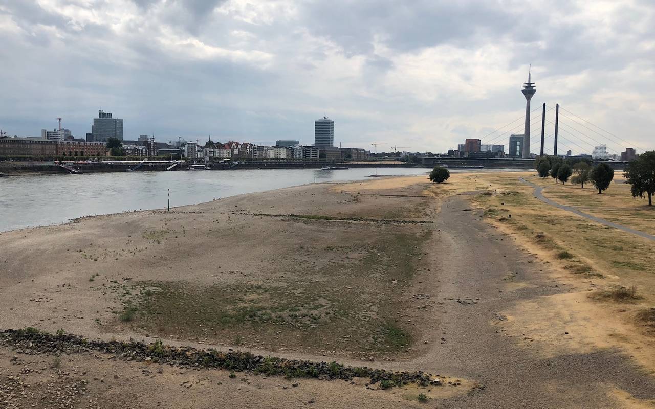 Der Rhein führt kaum noch Wasser, ein ausgetrocknetes Flussbett