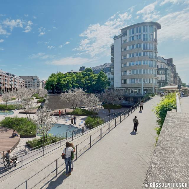 Eine Visualisierung vom neugestalteten alten Hafen" mit Grünflächen, Wasserflächen und Holzplattformen.