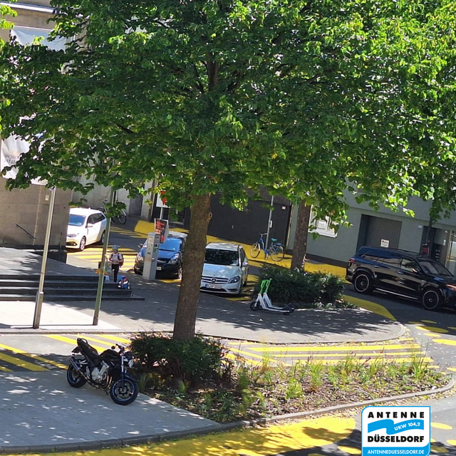 Gelbe Markierungen auf der Straße, dazwischen eine bepflanzte Verkehrsinsel