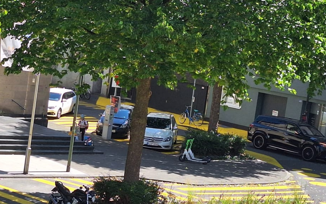Gelbe Markierungen auf der Straße, dazwischen eine bepflanzte Verkehrsinsel